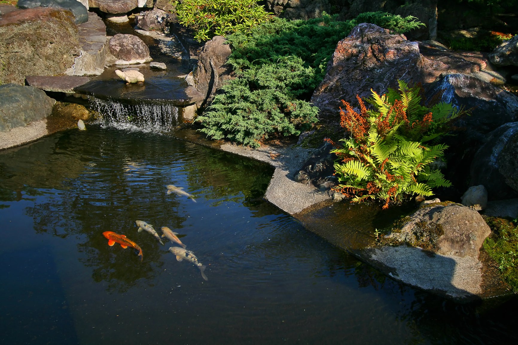 Jardin du monde #3 le jardin japonais