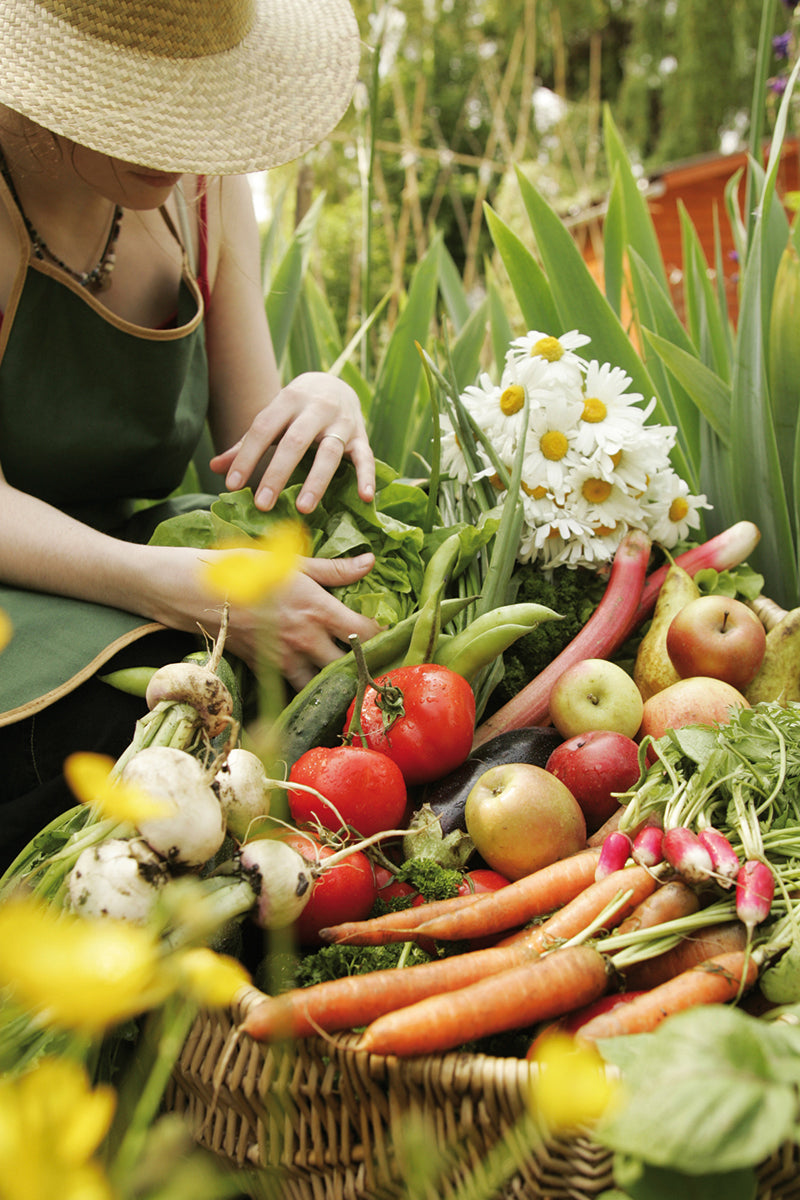 fruits-et-legumes-du-jardin