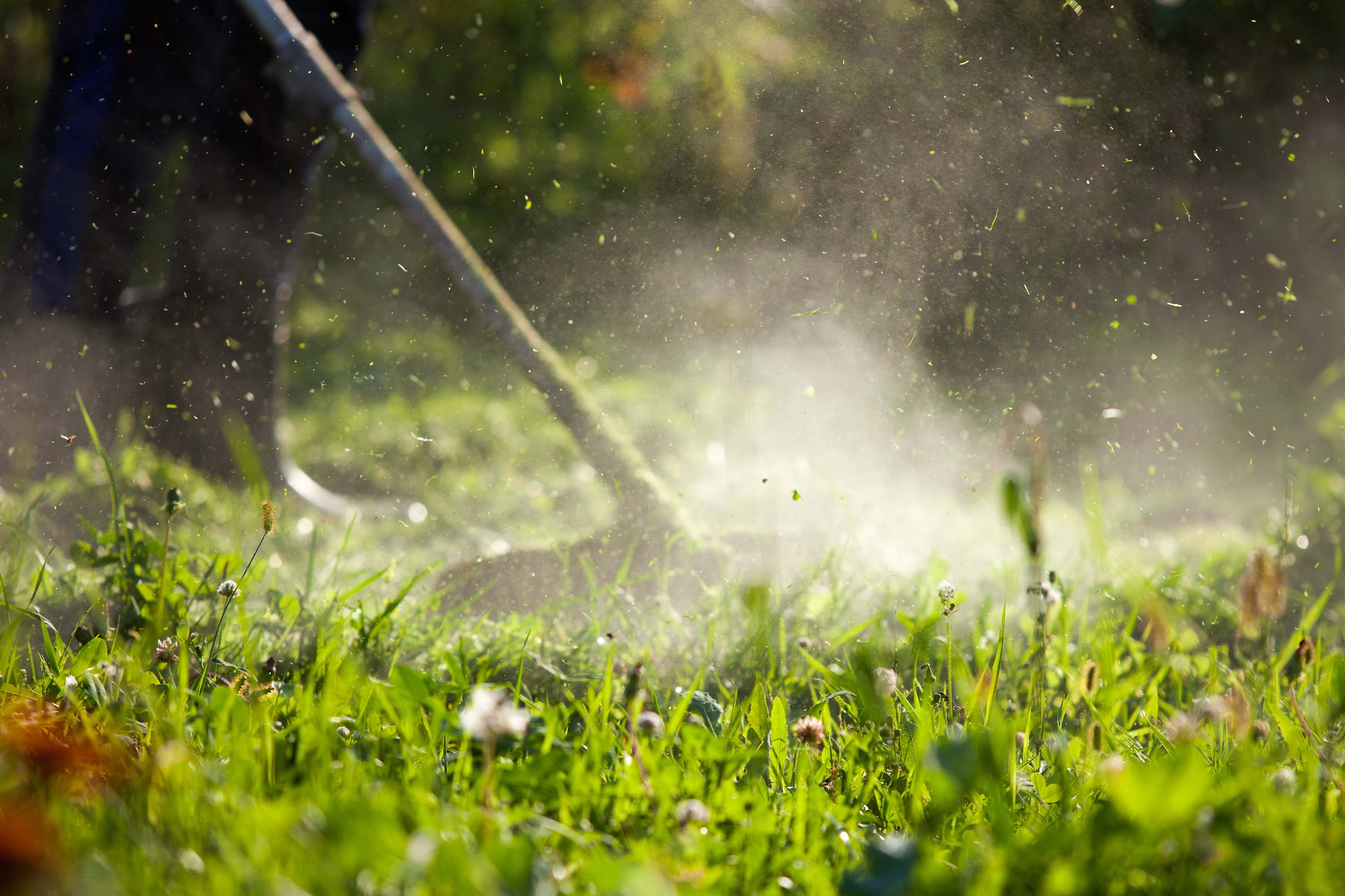 Débroussailleuses professionnelles