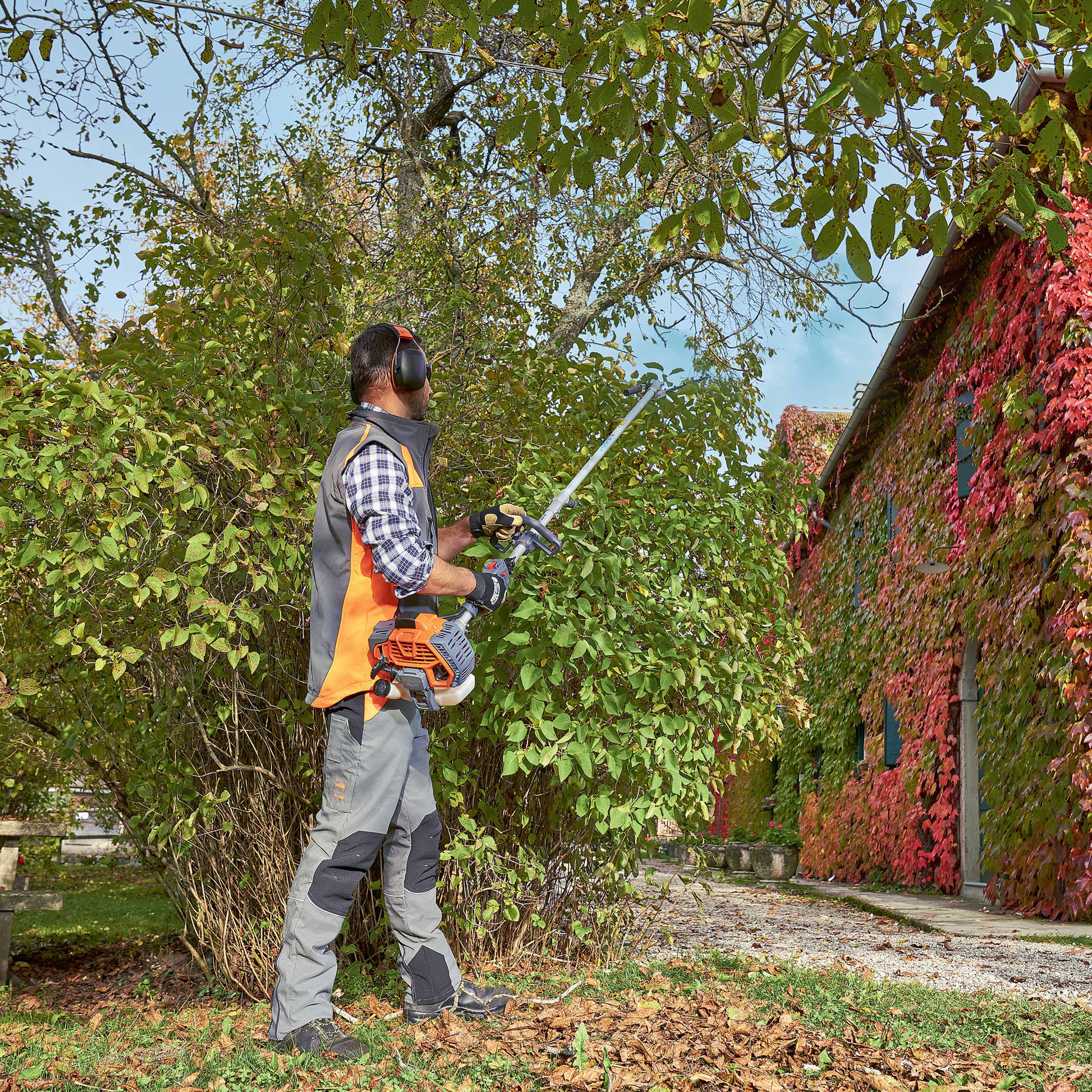 Débroussailleuse multifonctions - Outil taille-haie BCH 250 D