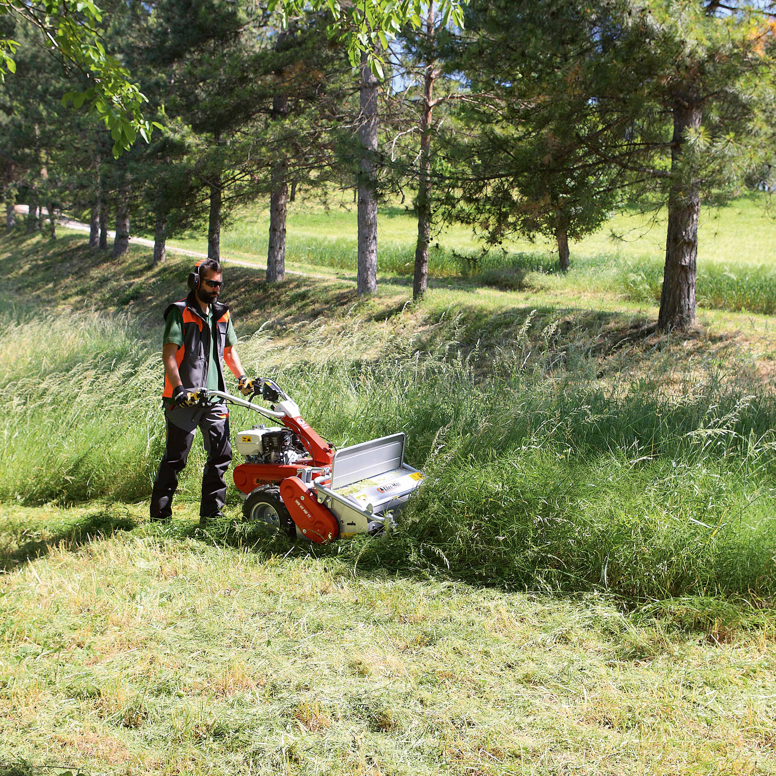 Débroussailleuse à fléaux - WB 65 HR11