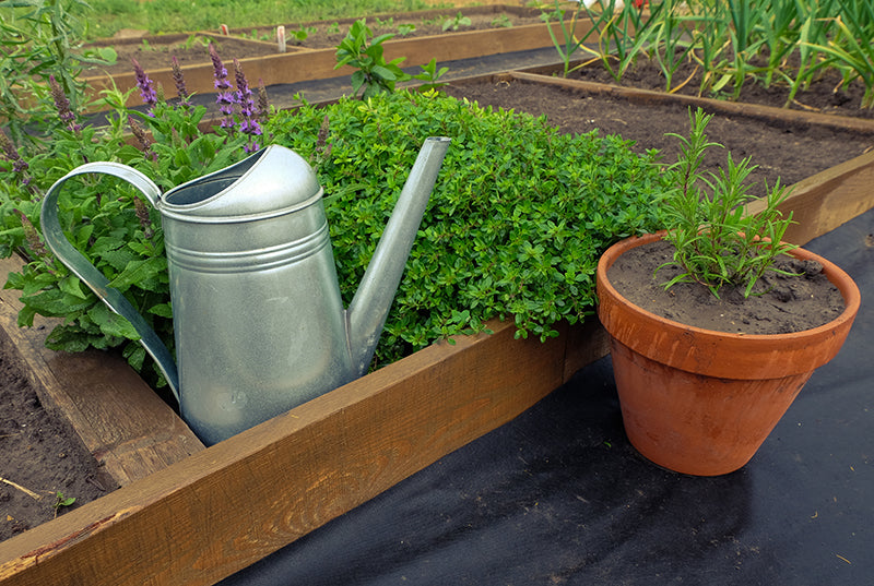 Les outils de base du jardin #2 entretien du jardin et conseils d'achat