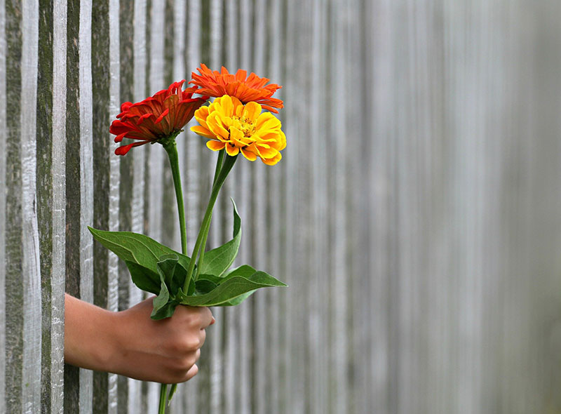 Main_fleurs_bouquet_cadeau