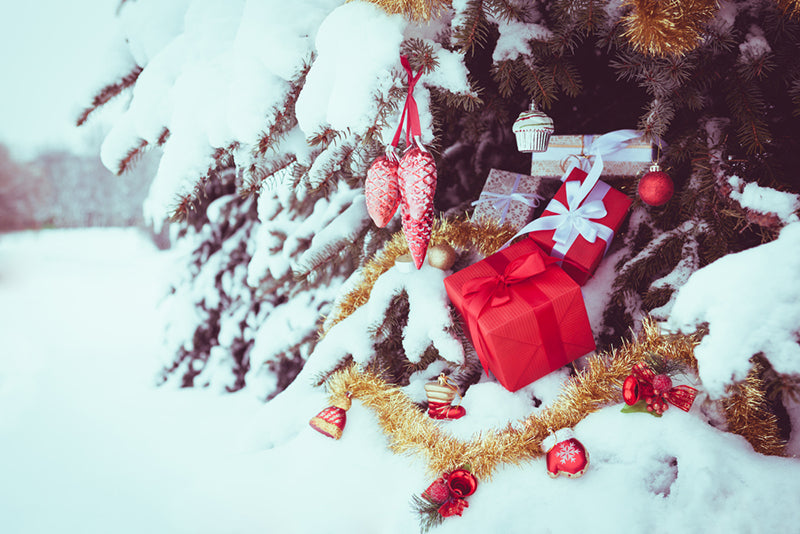 Noël: les idées cadeaux de nos jardiniers