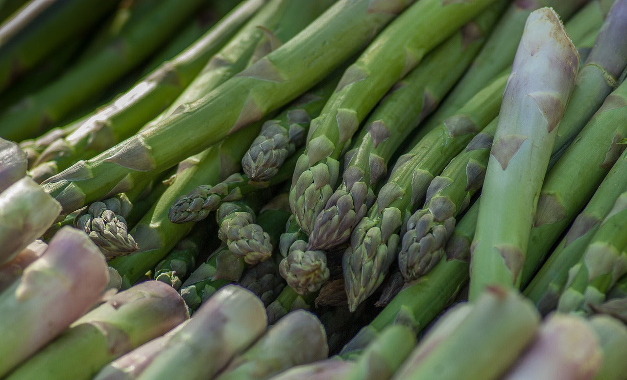 En février, on installe les griffes d'asperge