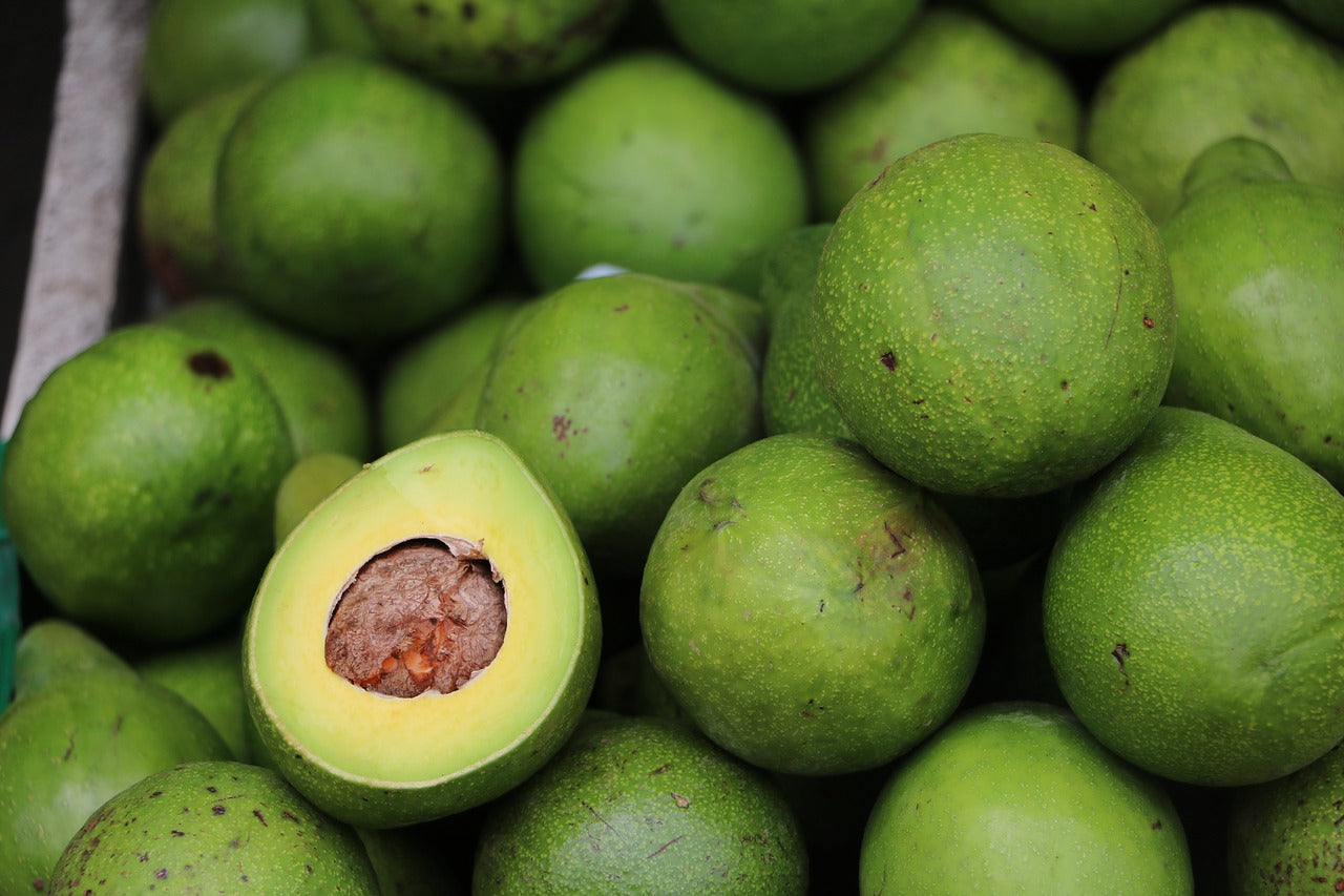 En avril, un avocat se plante et se récolte !