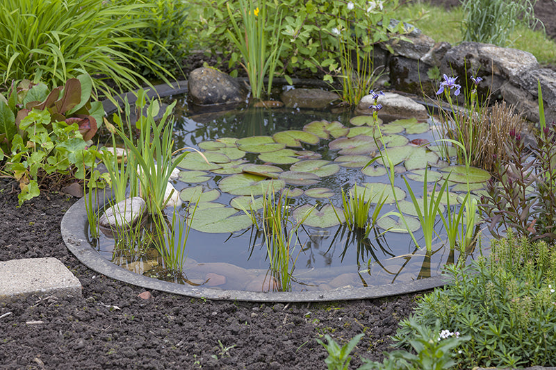 Les espaces d'eau : le bassin de jardin