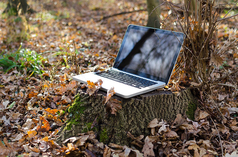 biophilie_foret_ordinateur