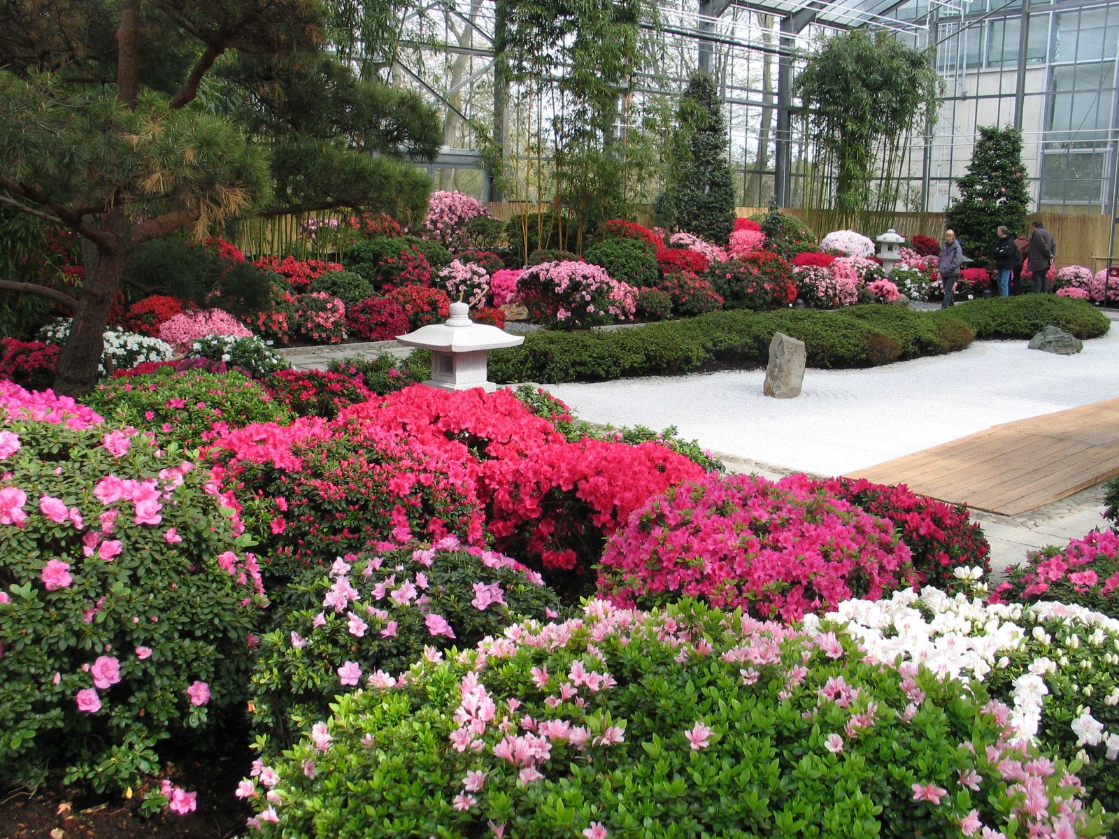 Les jardins remarquables d’Europe #4 le Rhododendron-Park en Allemagne