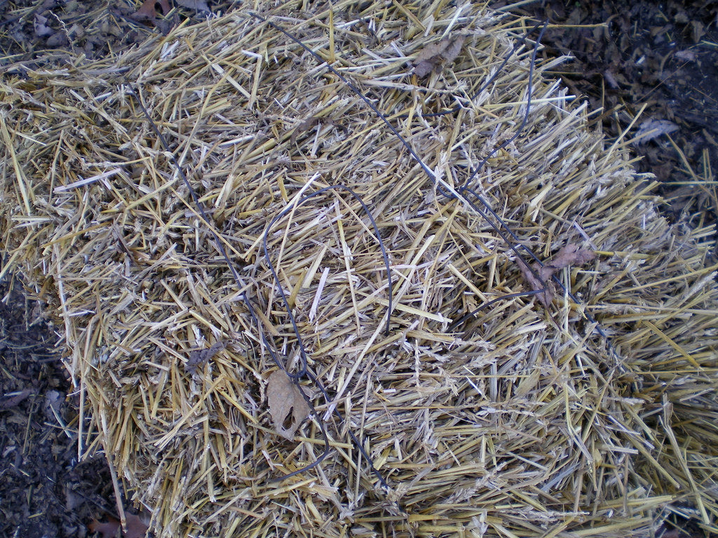 botte paille culture
