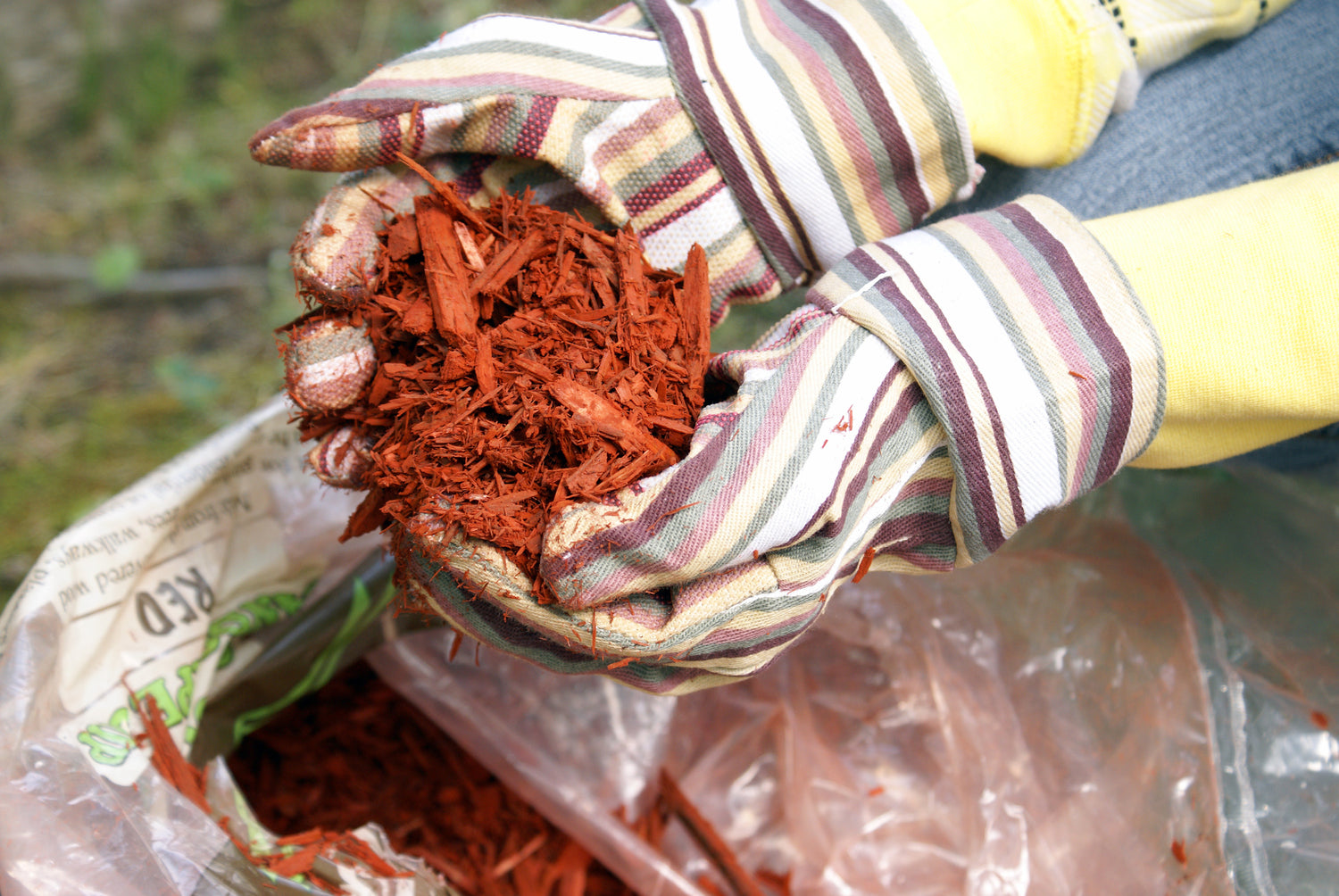 Réaliser facilement un paillage naturel pour votre jardin