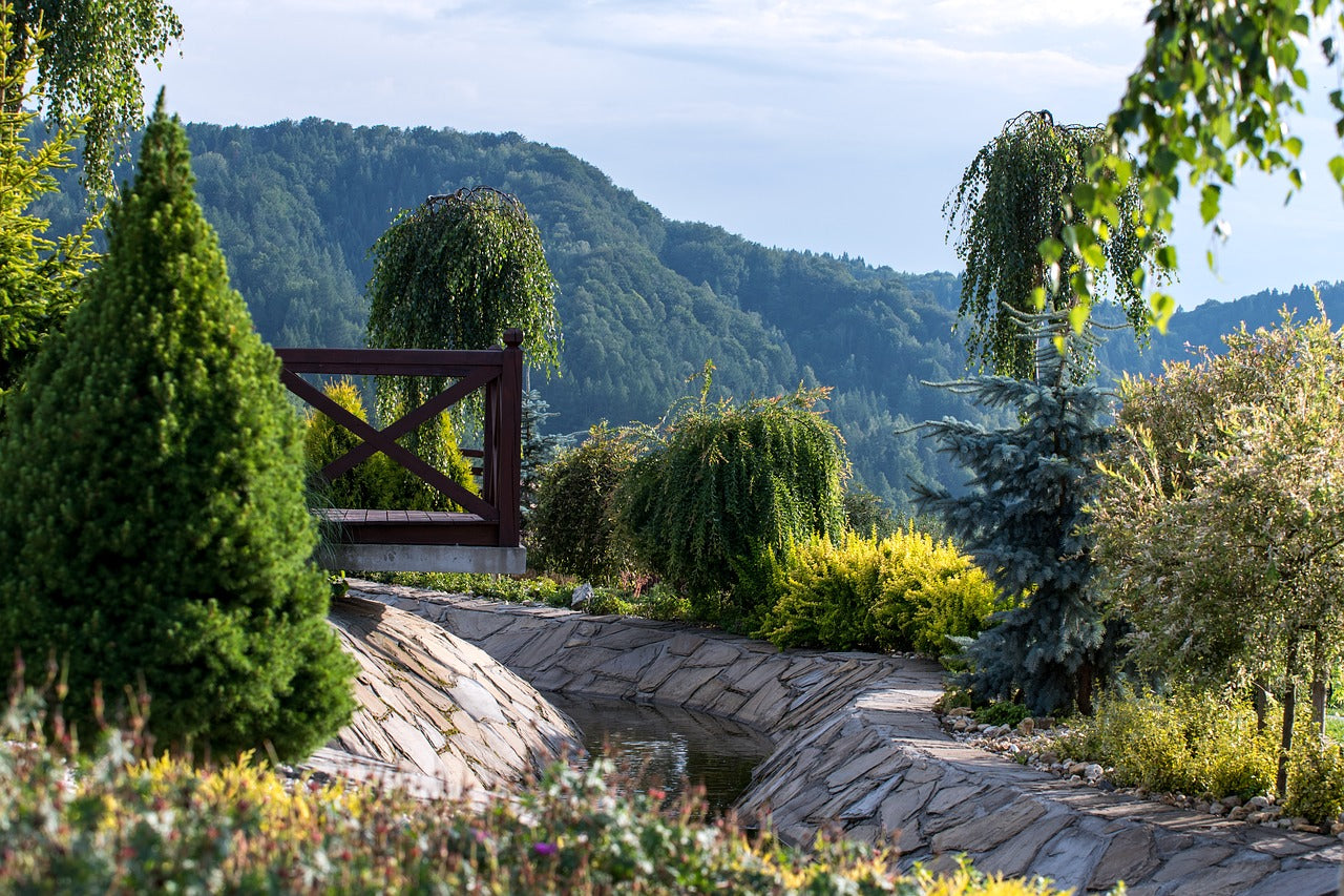 Les conifères dans le jardin