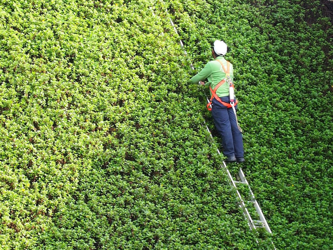 Travailler en hauteur en toute sécurité