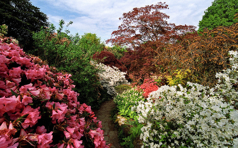 Les bons gestes pour traiter ses plantes