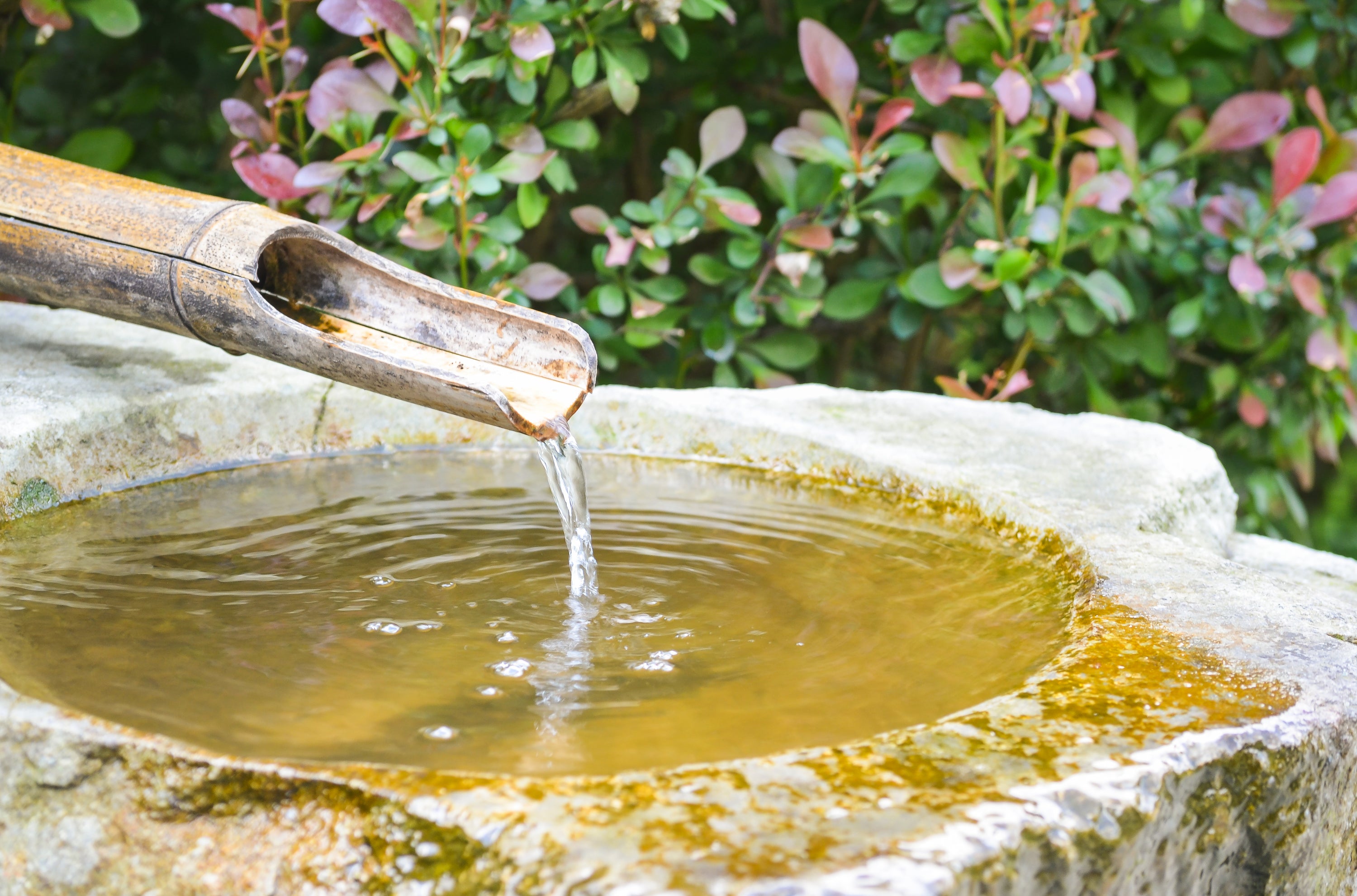 Les espaces d’eau : la fontaine de jardin