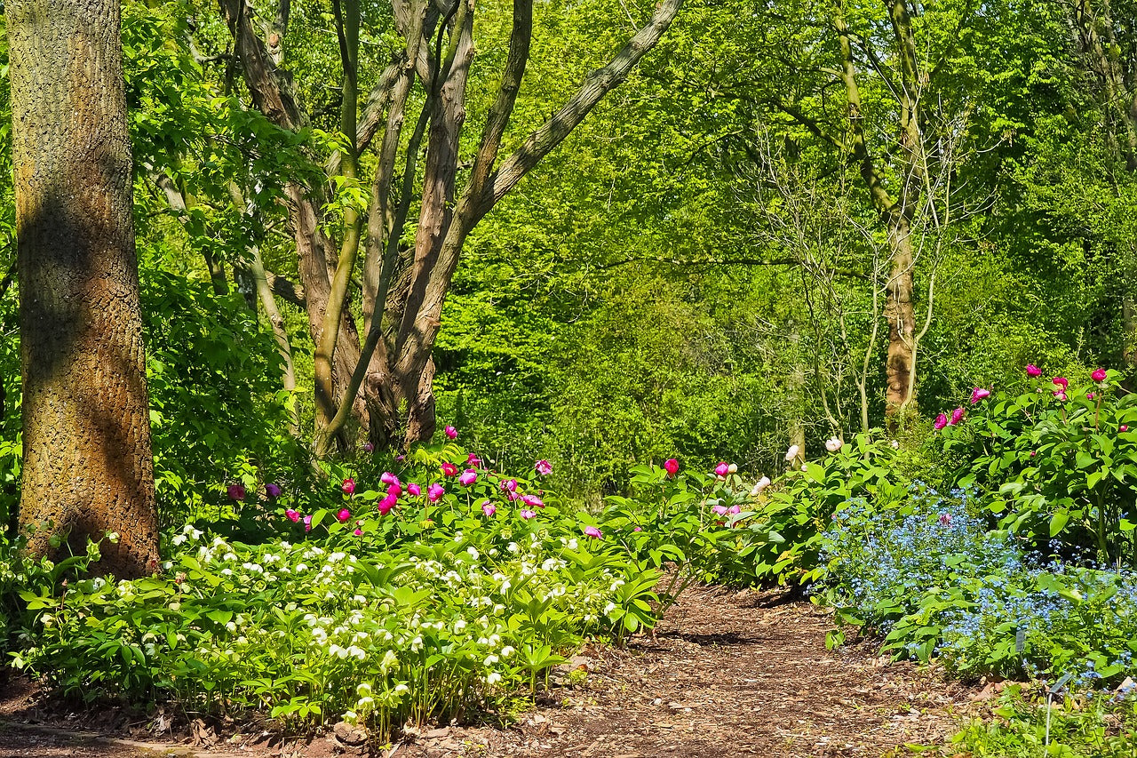 Permaculture : les végétaux de la forêt-jardin