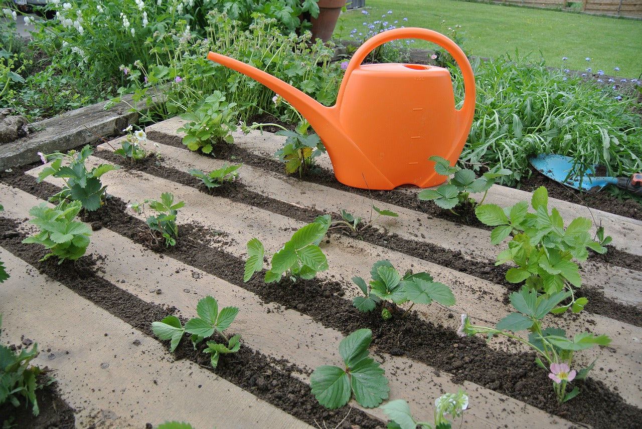 Le teambuilding jardinage ou comment la Nature prend sa place au bureau