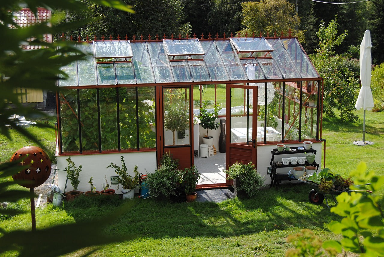 Été et jardin : comment partir serein en vacances ?