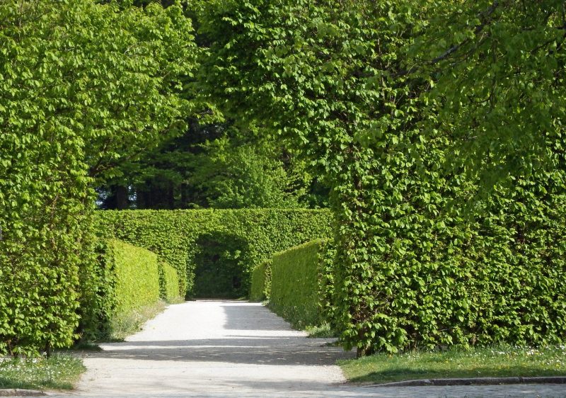 planter des haies