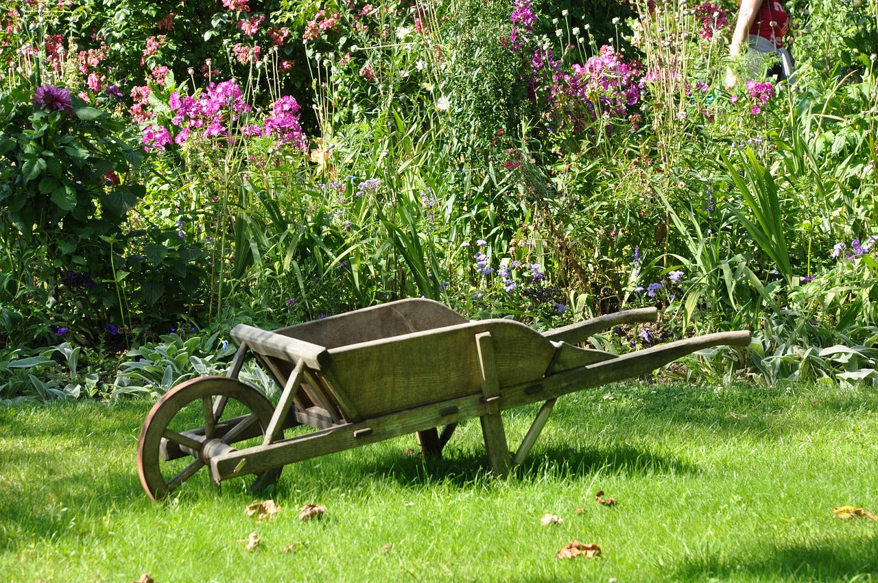 Portrait de jardinier : Jean-Paul Lauter