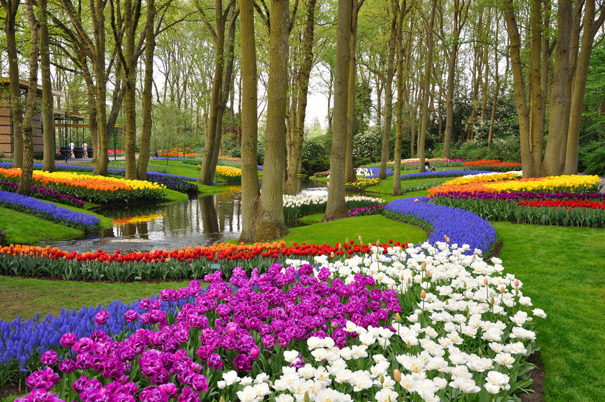 Les jardins remarquables d’Europe #2 Jardin de Keukenhof aux Pays-Bas
