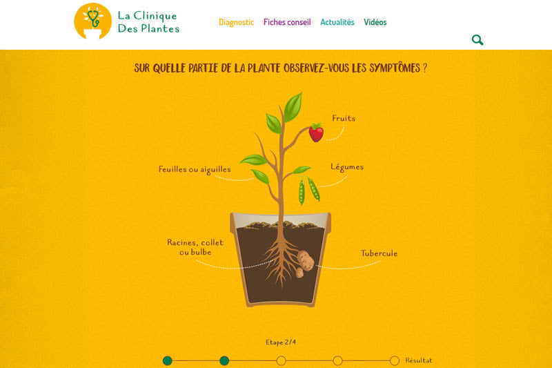Technologie au jardin : La clinique des plantes