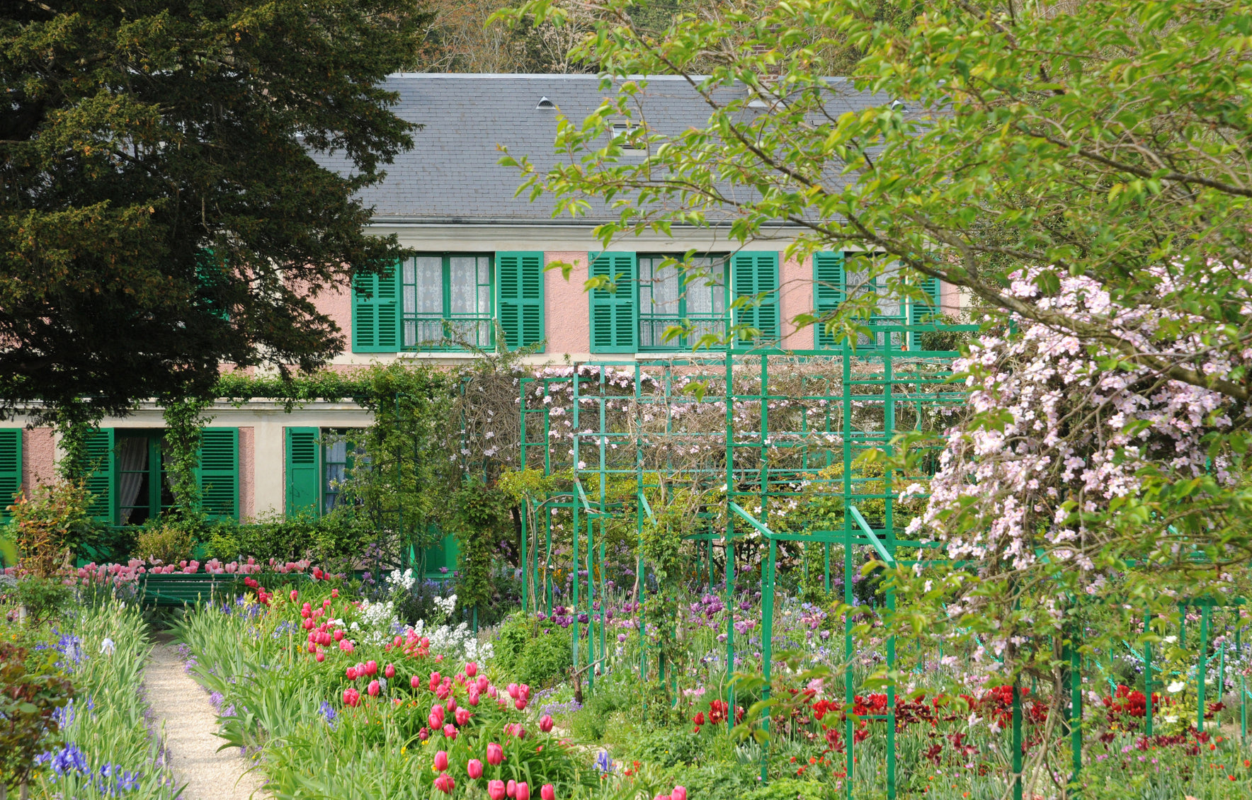 Prenez de l'altitude au jardin grâce au treillage