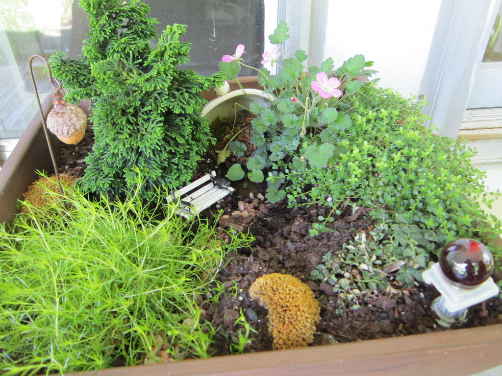 DIY un mini-jardin pour décorer la maison