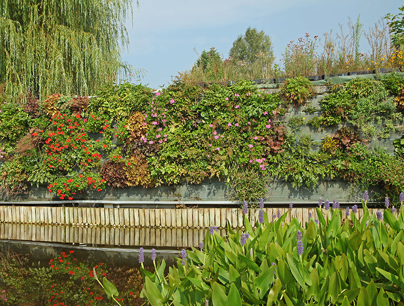 Le mur végétal