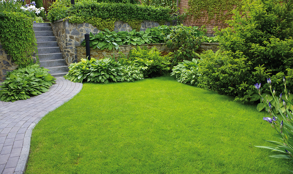 Connaître son jardin: exposition et ensoleillement