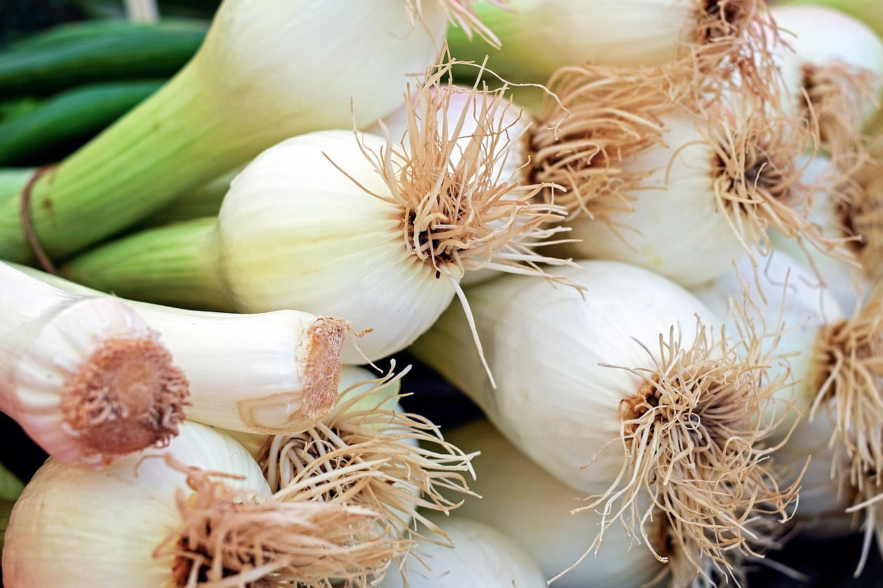 Tout savoir sur les légumes primeurs