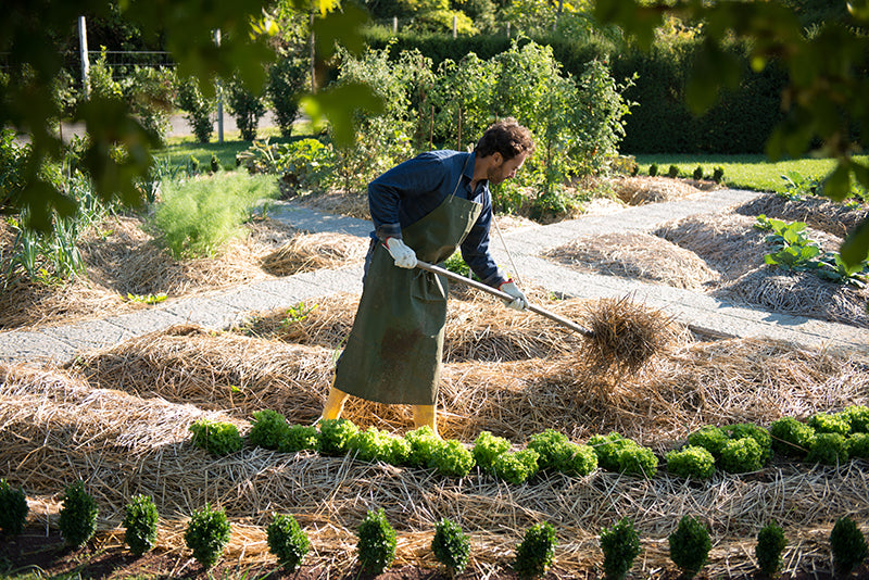 Les bons gestes au jardin: pour bien commencer