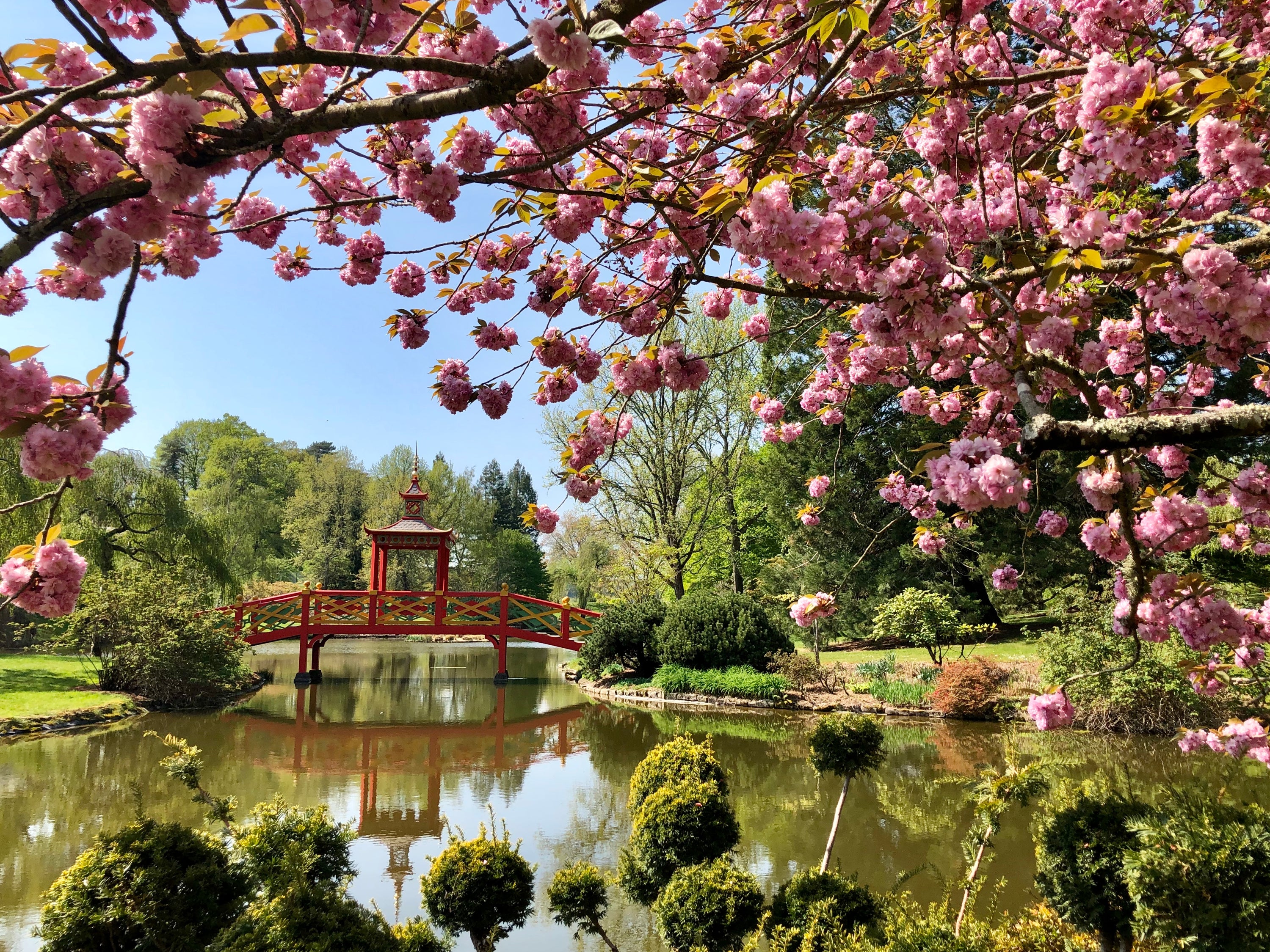 Jardin de France #7 Le Parc Floral d'Apremont
