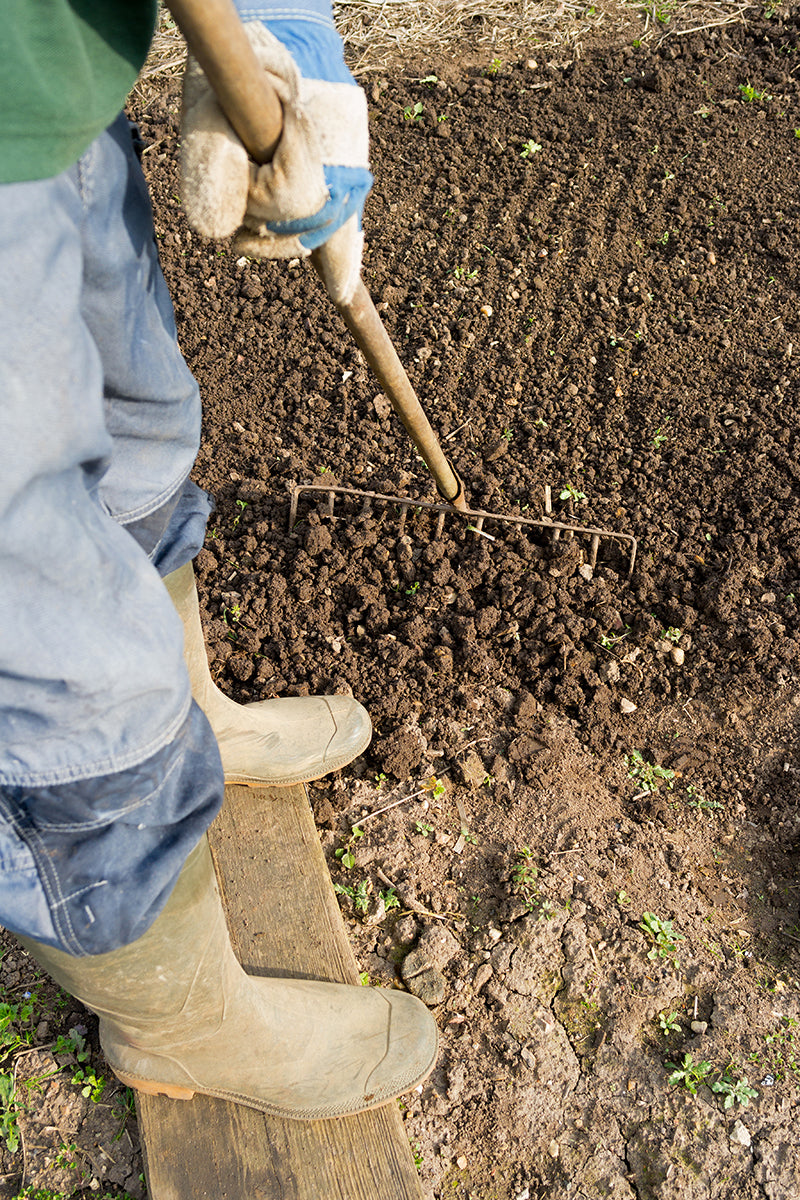 Les outils de base du jardin #1 travail du sol et plantations