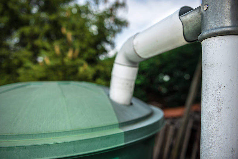 Un récupérateur d’eau de pluie pour arroser votre jardin