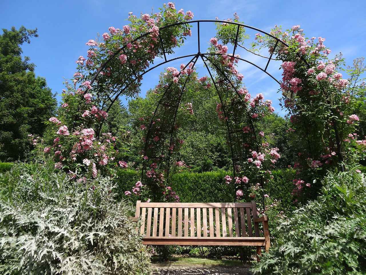 Jardins du Monde #8 la roseraie