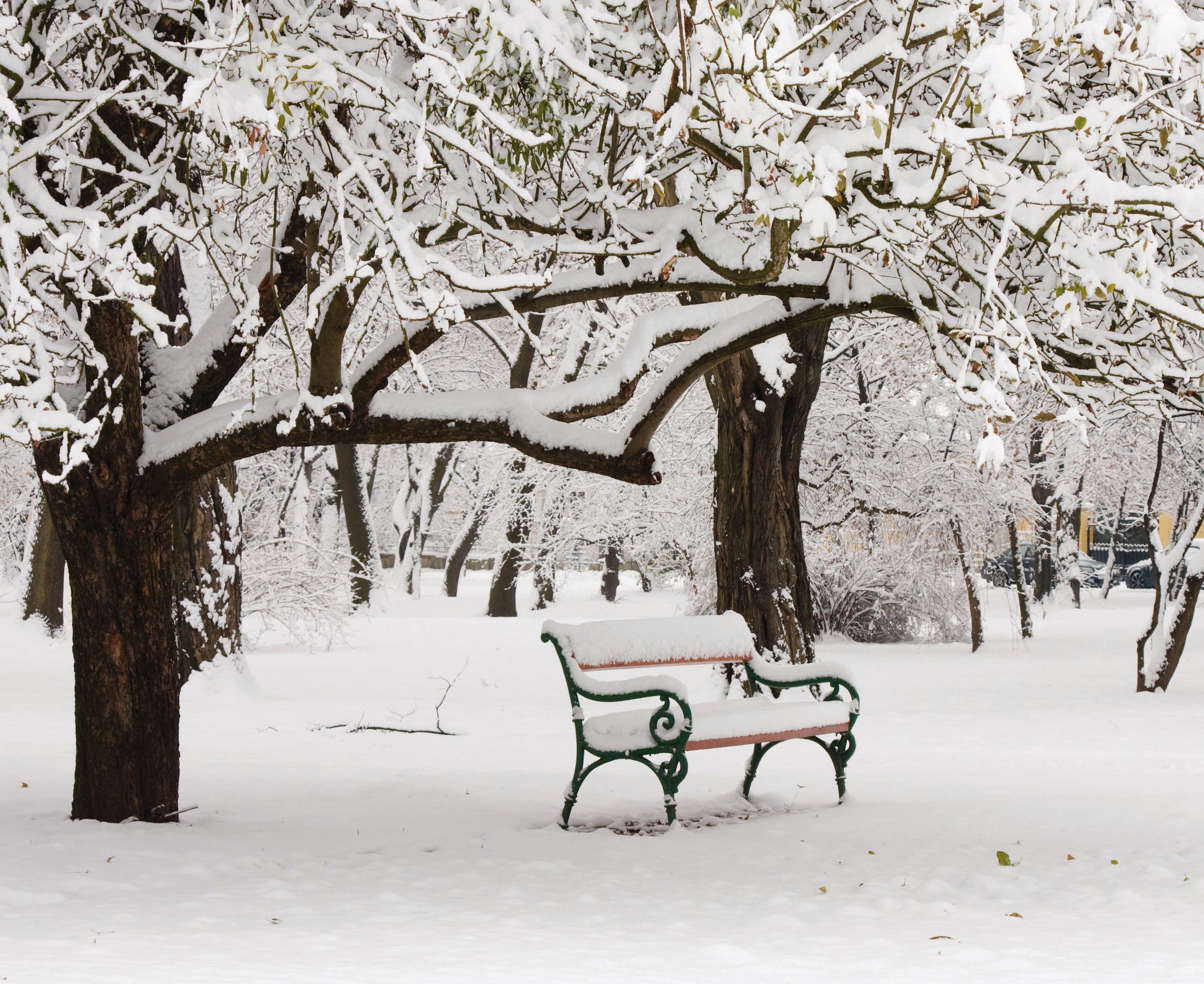 Paysage de neige