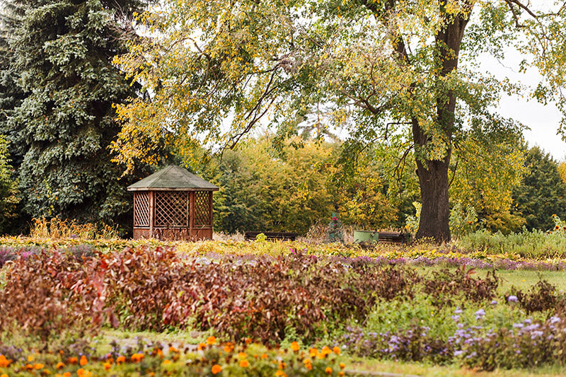 Que faire dans son jardin en automne ?