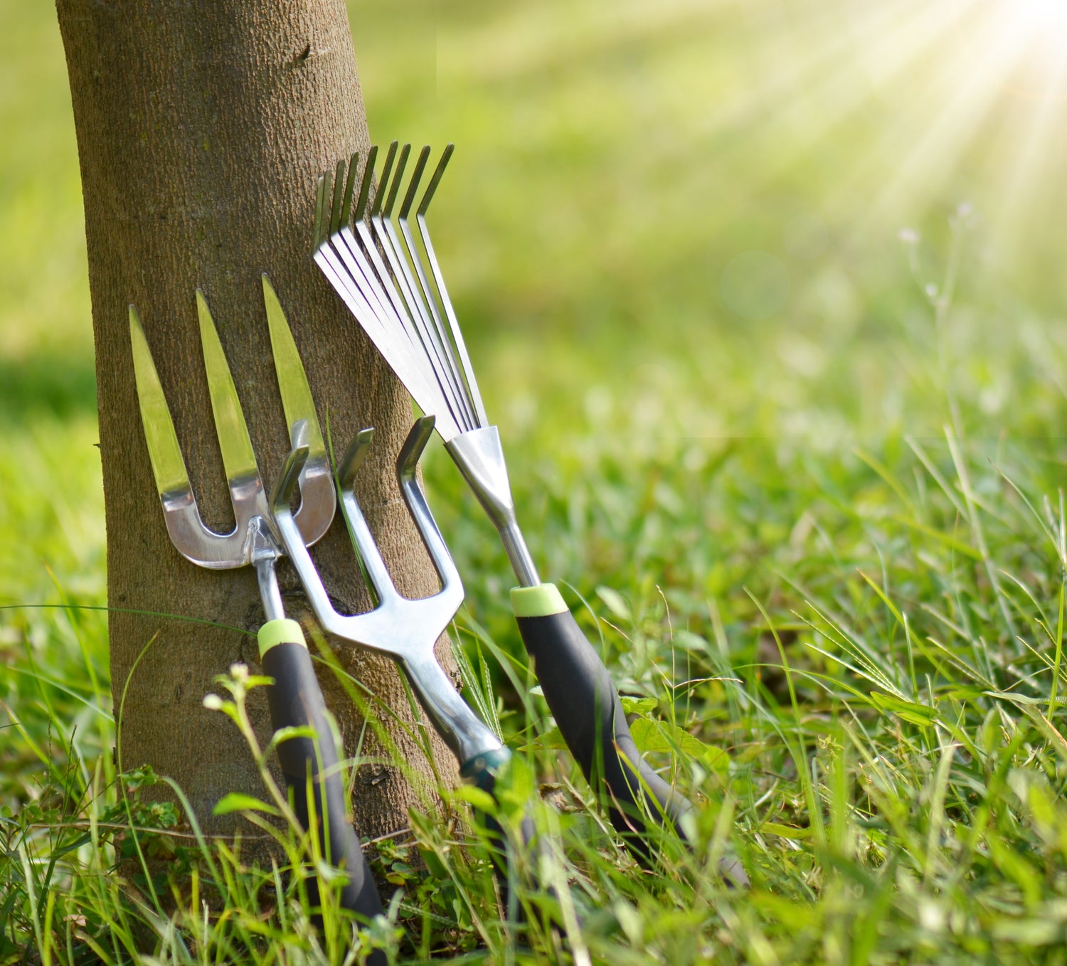 outillage de jardin