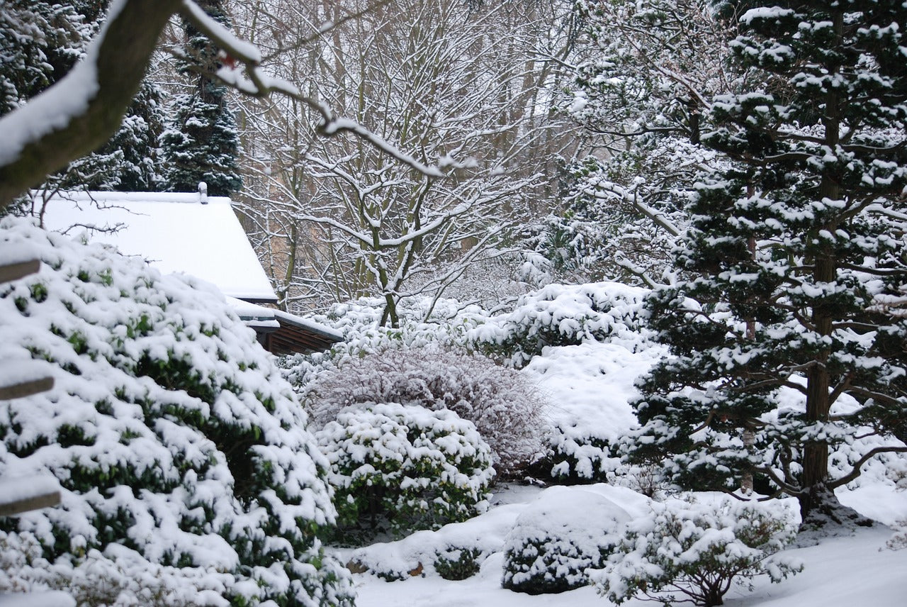 La neige, le surprenant allié de votre jardin